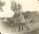 FREISS, Otto Charles
