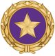 Gold Star Honorees